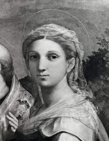 A. Villani e Figli — Raffaello Sanzio. S. Cecilia e Santi - La Maddalena (part. del volto) — particolare